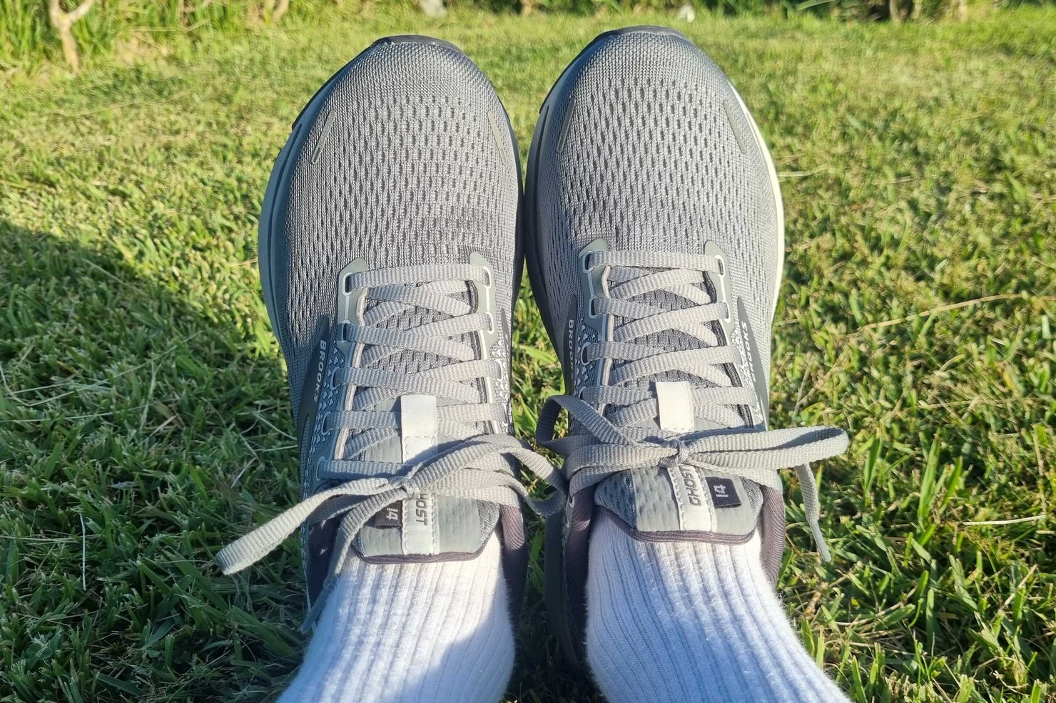 Brooks Ghost 14 Review — The Best Daily Running Shoes in 2023?