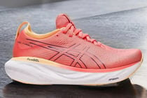 Asics Nimbus 25.