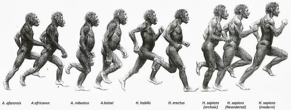 The history of running: from our ancestors