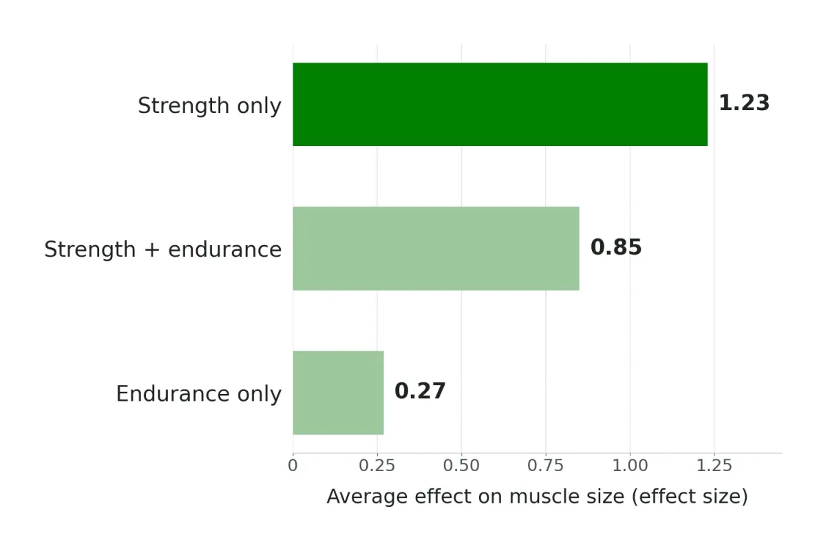 Bar chart of average effect on muscle size: strength training 1.23, strength plus endurance 0.85, endurance only 0.27